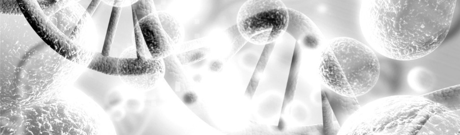 IndEx-2 demonstrating capabilities of cell line development 