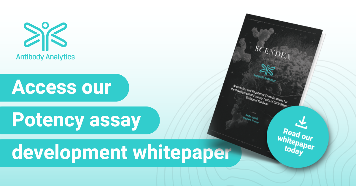 Potency assay development considerations whitepaper Antibody Analytics